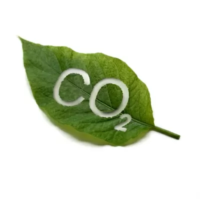 Въглероден диоксид CO2