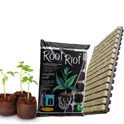 Среди за покълване