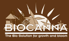 Основни торове 