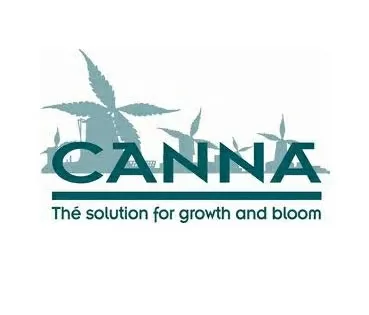 Основни торове 