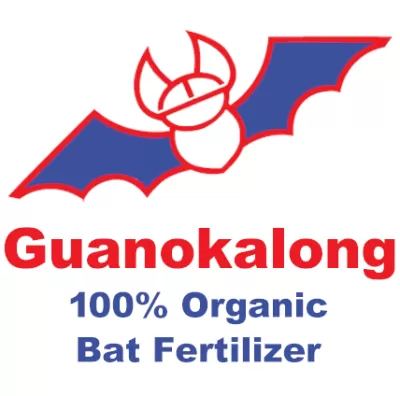 Основни торове 