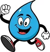 ОТГЛЕЖДАНЕ В ХИДРОПОНИКА