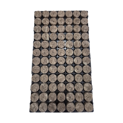 Speedgrow Tray with 84 sockets and mineral wool blocks