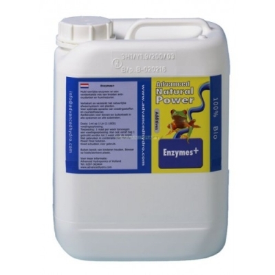 Enzymes+ - enzyme supplement