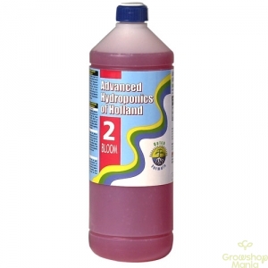 Dutch Formula 2 Bloom 1.0L