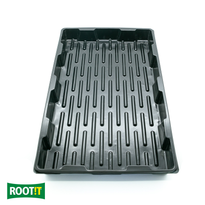 Root it - platou pentru propagare