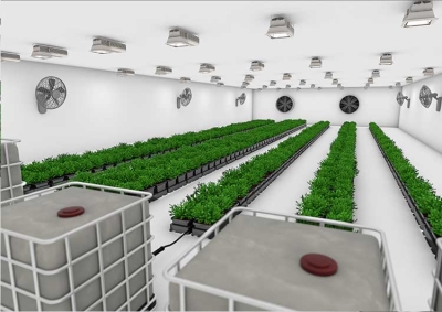 Easy2Grow 80 с резвервоар 750L