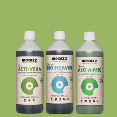 пакет "ActiHeaven"