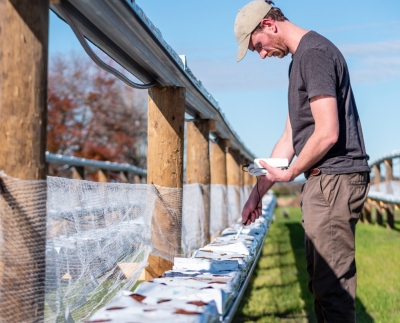 Bluelab Combo Meter Plus - pH и EC Тестер