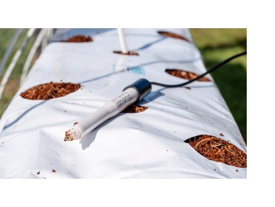 Bluelab Combo Meter Plus - pH и EC Тестер