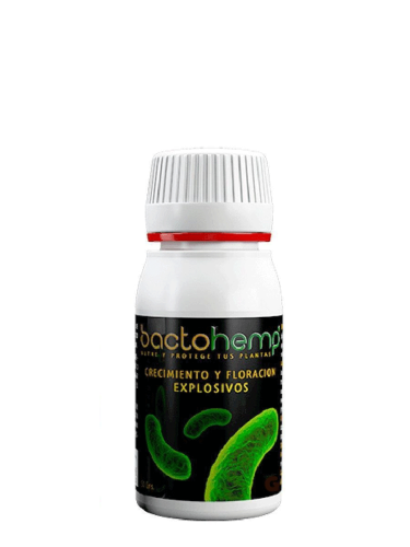 Bactochemp 50 ml