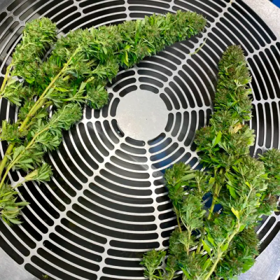 Master Trimmer Standart 50 - тример