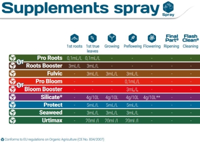 Cal-Mag - Calcium-Magnesium Supplement