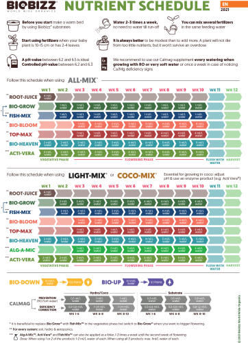 Calmag - calcium and magnesium supplement