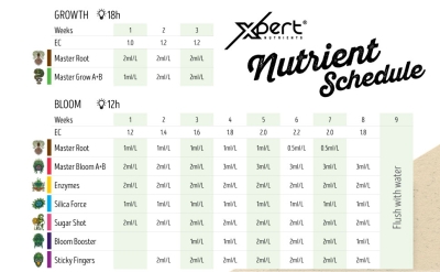 pH Down for Growth and Bloom - pH down regulator