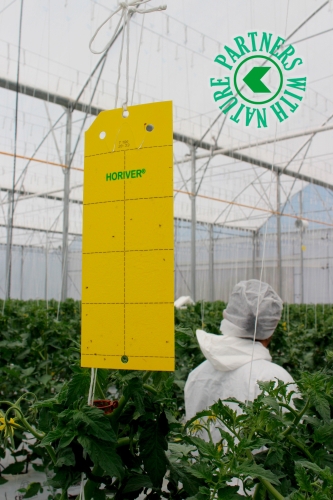 Horiver - sticky strips against flying insects