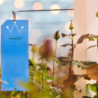 Horiver - κολλώδεις λωρίδες κατά θρίπες