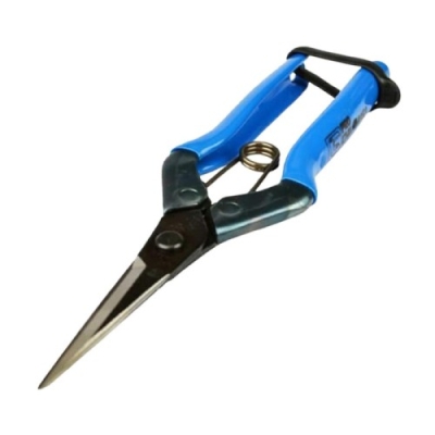 Chikamasa T-552 scissors