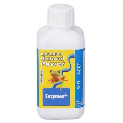 Enzymes+ - supliment enzimatic