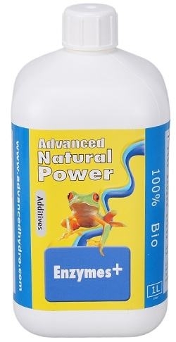 Enzymes+ - supliment enzimatic