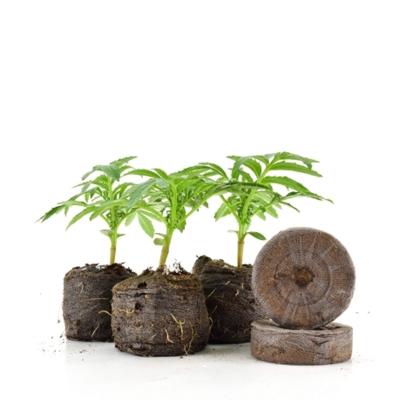 Jiffy 39mm- Пелети 1 бр. - пелета за покълване