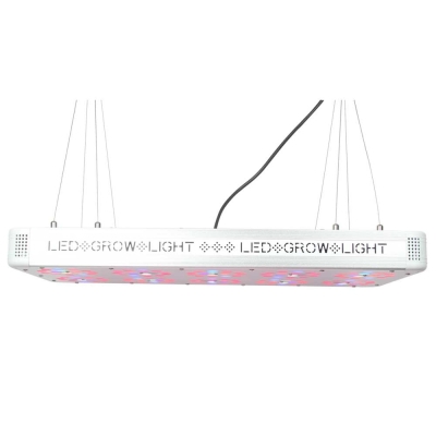 Apollo 10 plus LED - LED Wachstums- und Blütelampe