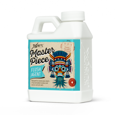 Master Piece - Cleaning solution