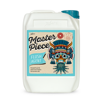 Master Piece - Cleaning solution