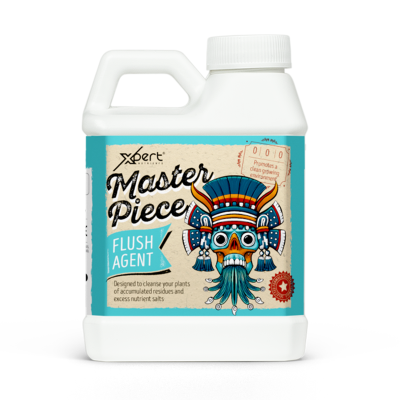 Master Piece - Cleaning solution