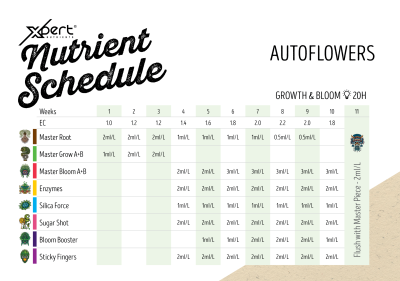 Xpert Nutrients Kit – Master Grow/Bloom/Root x 5L
