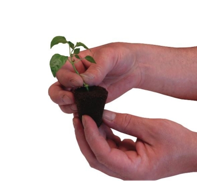 Root it rooting gel 150ml