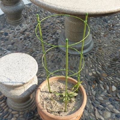 Support plastic sticks 75cm