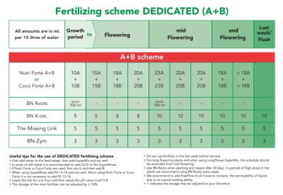 BN Roots - Wurzelstimulator