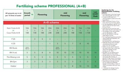 BN Roots - Wurzelstimulator