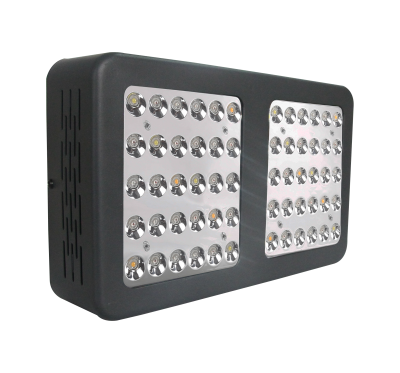 LED 300W