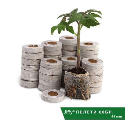 Set SERĂ ROOT!T - propagator, tavă și pelete