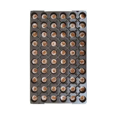 Set SERĂ ROOT!T - propagator, tavă și pelete