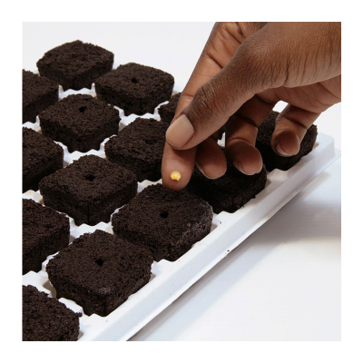 Root Riot 100pcs propagation blocks